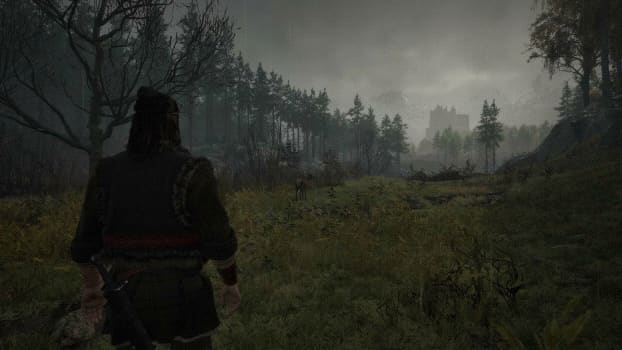 The Blood of Dawnwalker — скриншот 2